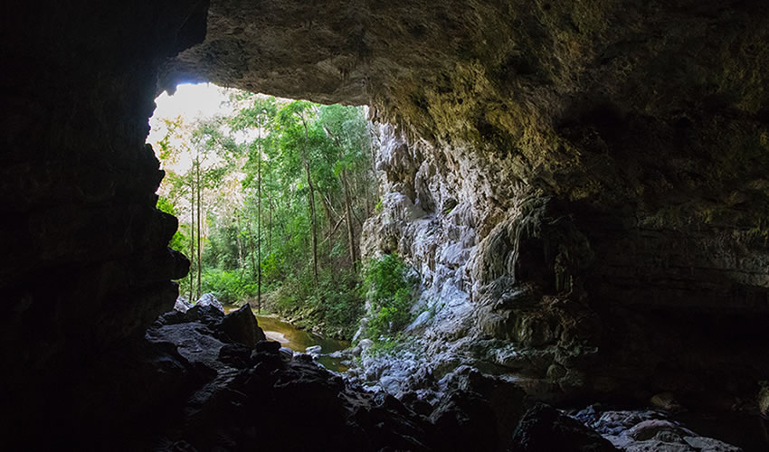 Maramagambo Forest Bat Caves