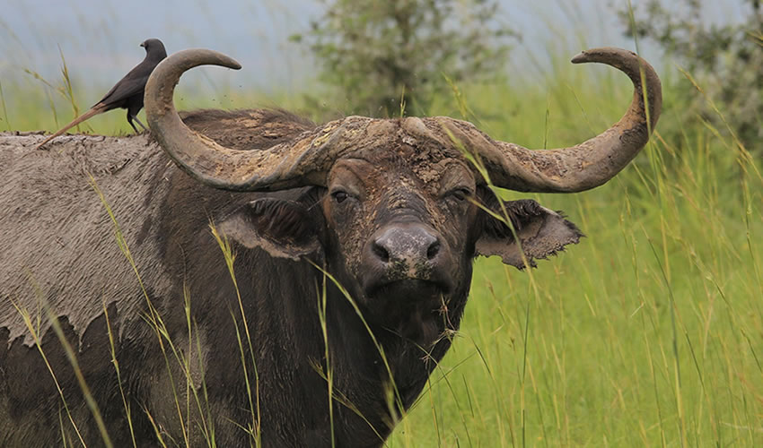 Exploring Uganda’s Most Isolated National Park