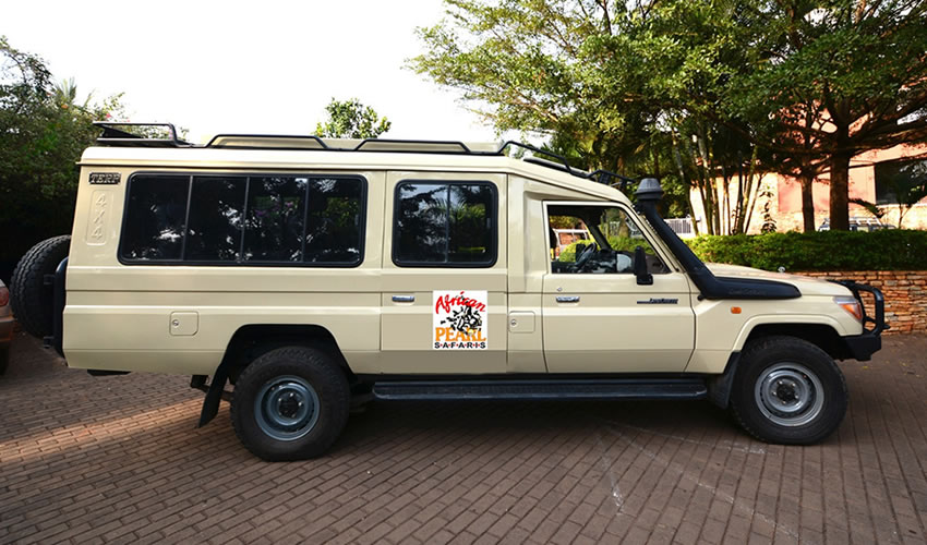 Choosing A Tour Company For Your Safari In Uganda