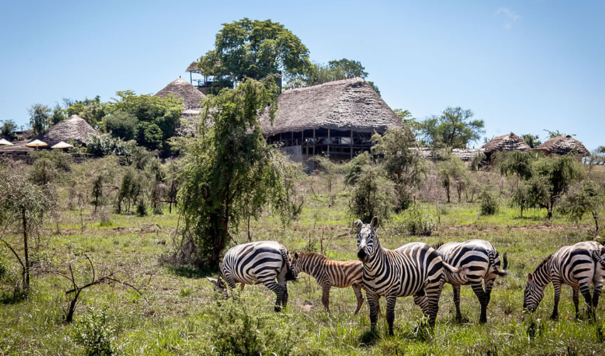 Apoka Lodge in Kidepo