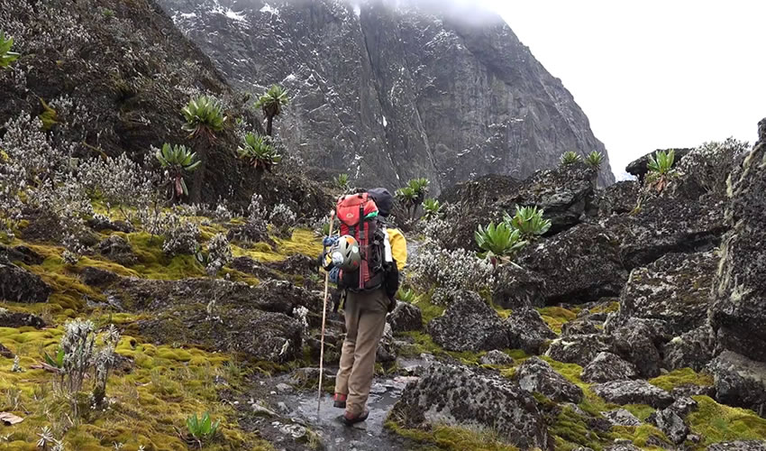 6 Days Rwenzori Mountain Climbing Safari