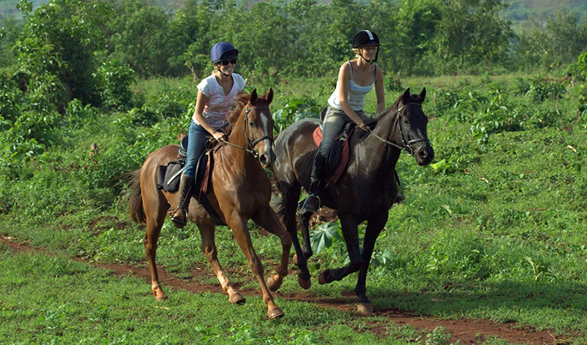 Horseback Riding Safaris In Lake Mburo National Park