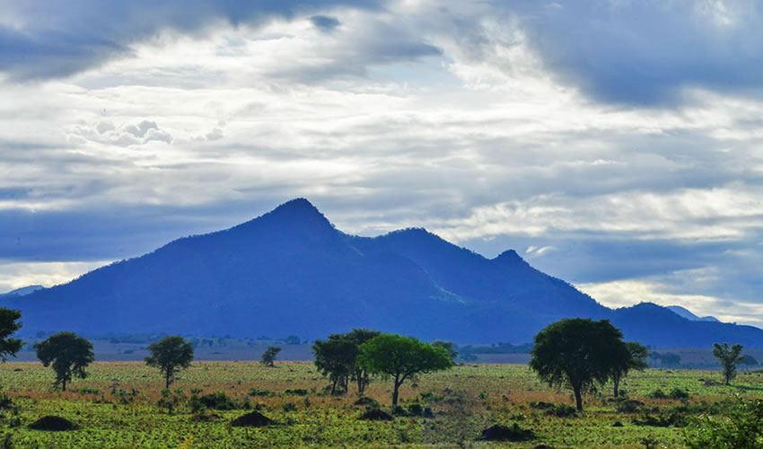 4 Days Kidepo Valley National Park Safari