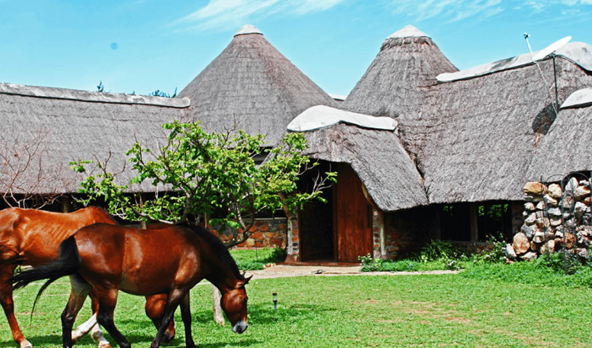 Lake Albert Safari Lodge In Kabwoya Wildlife Reserve