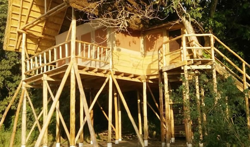 Murchison Treehouse In Murchison Falls National Park