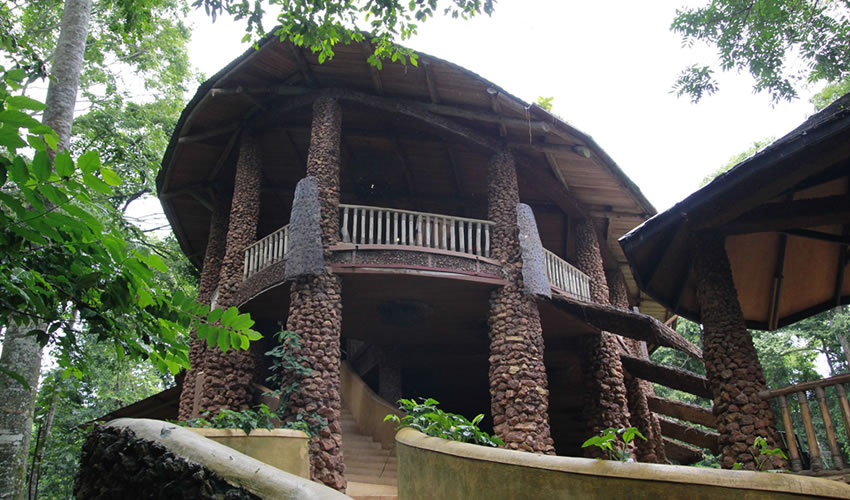 The Rainforest Lodge In Mabira