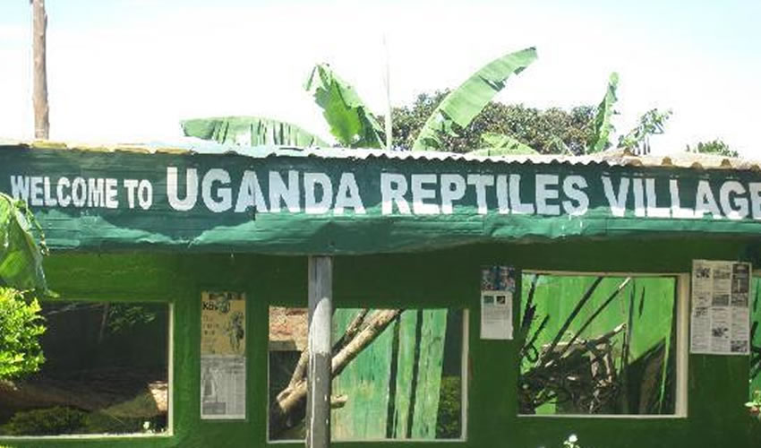 Reptile Village In Entebbe