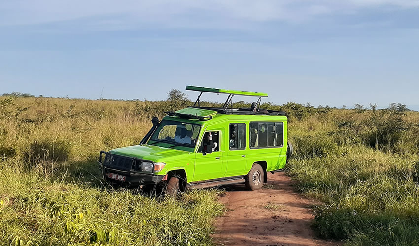 game drive in Uganda