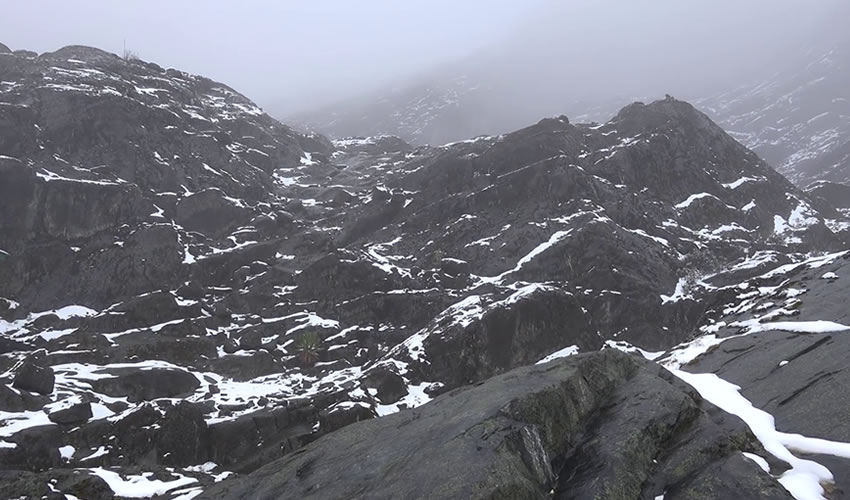 Hiking the snow-capped Rwenzori Mountains