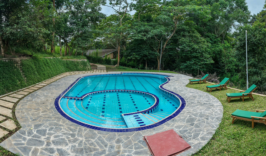 pool at Kalinzu Lodge